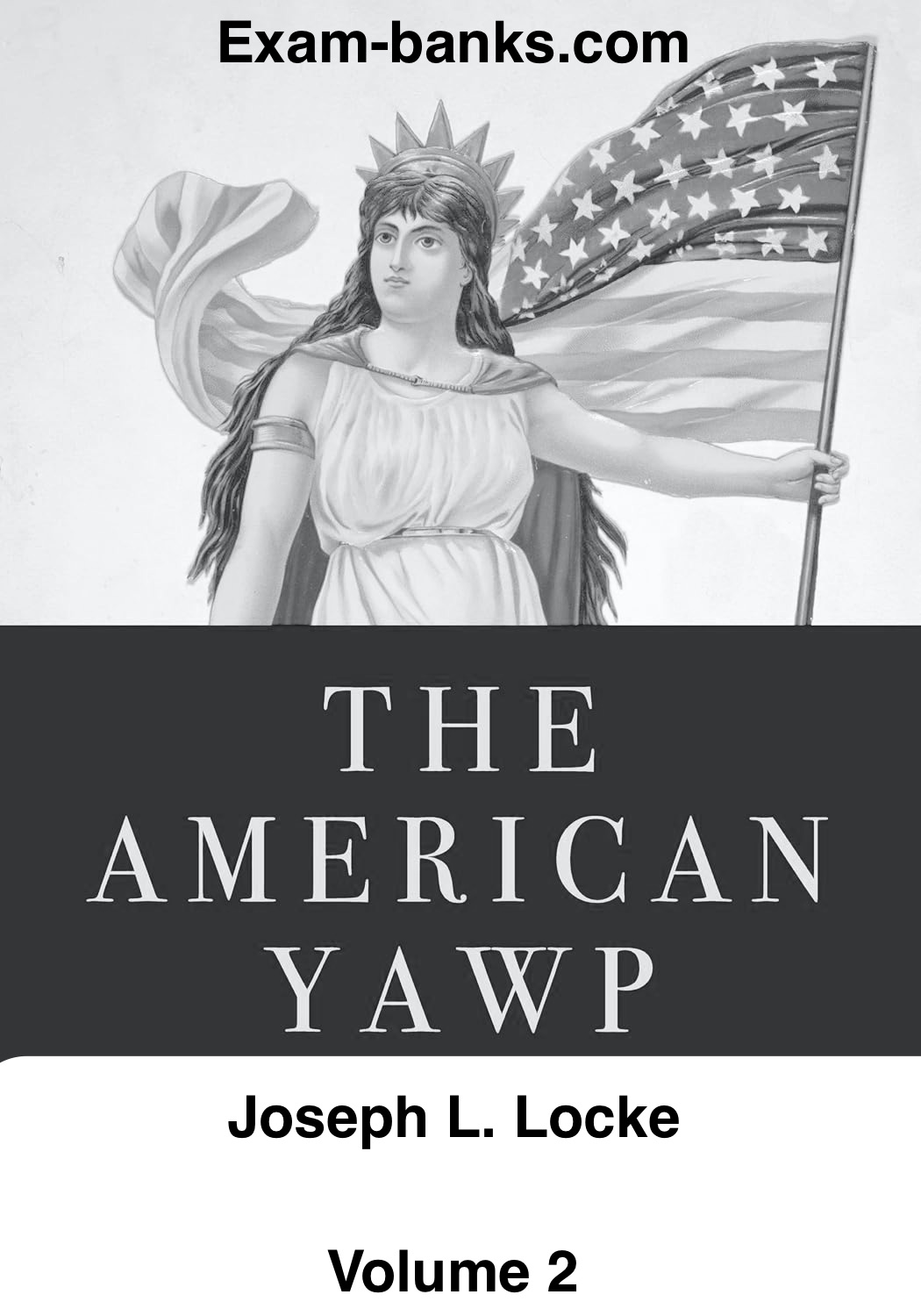 an image showing the cover photo of the test bank for the textbook: The American Yawp by Locke Volume 2