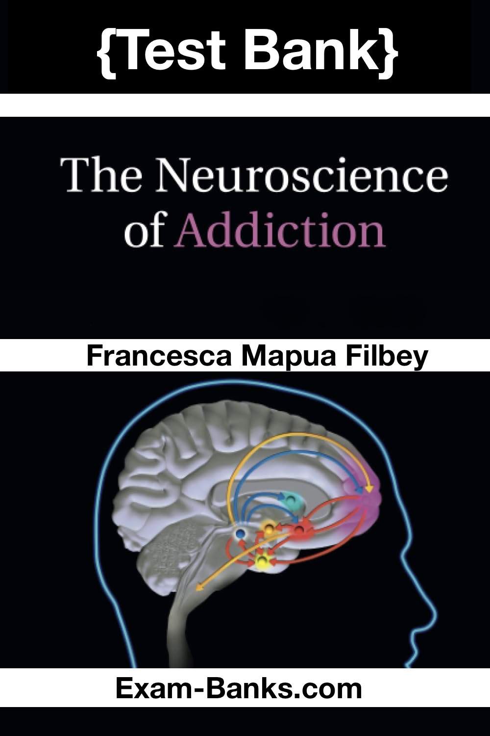 Addiction Neuroscience Test Bank for The Neuroscience of Addiction by Francesca Mapua Filbey. Study and practice resource for neuroscience students.