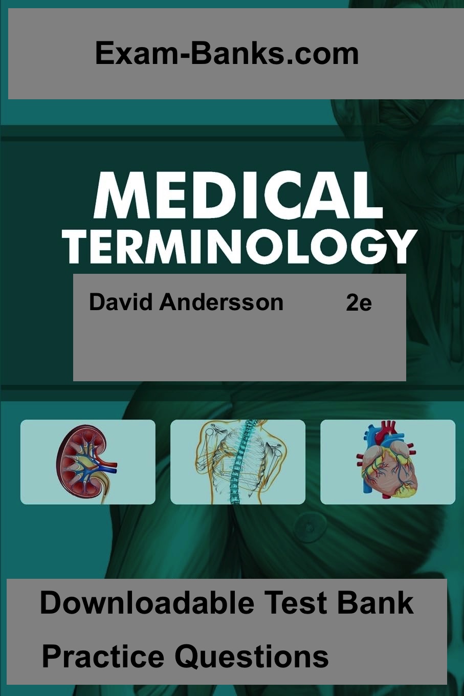 Test bank for Medical Terminology, 2nd Edition – Comprehensive exam prep for medical terms and abbreviations