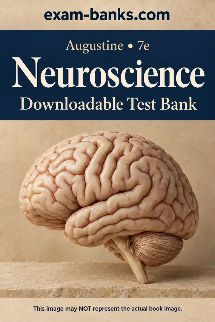an attractive image of human brain. Representing the cover image of the test bank for Neuroscience, Augustine,7e